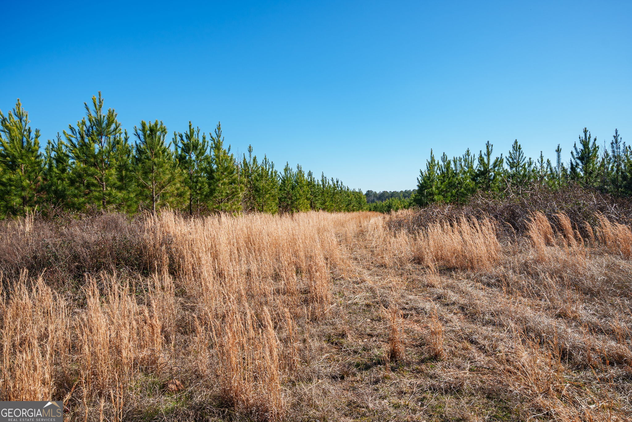 0 Warren Road White Plains, GA 30678 - Photo 26 of 37 a view of a lake with a tree in the background