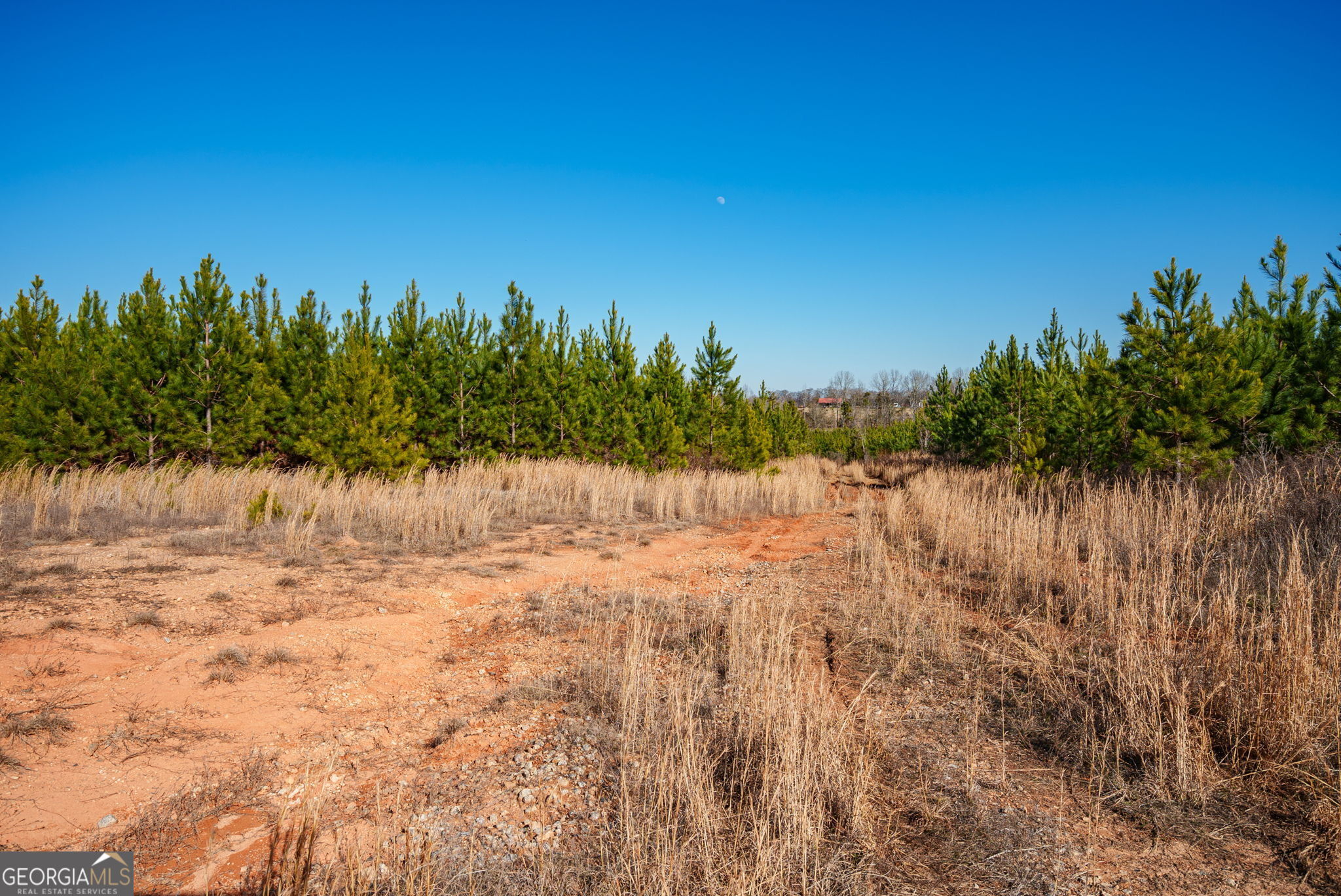 0 Warren Road White Plains, GA 30678 - Photo 27 of 37 a view of lake with lots of palm trees