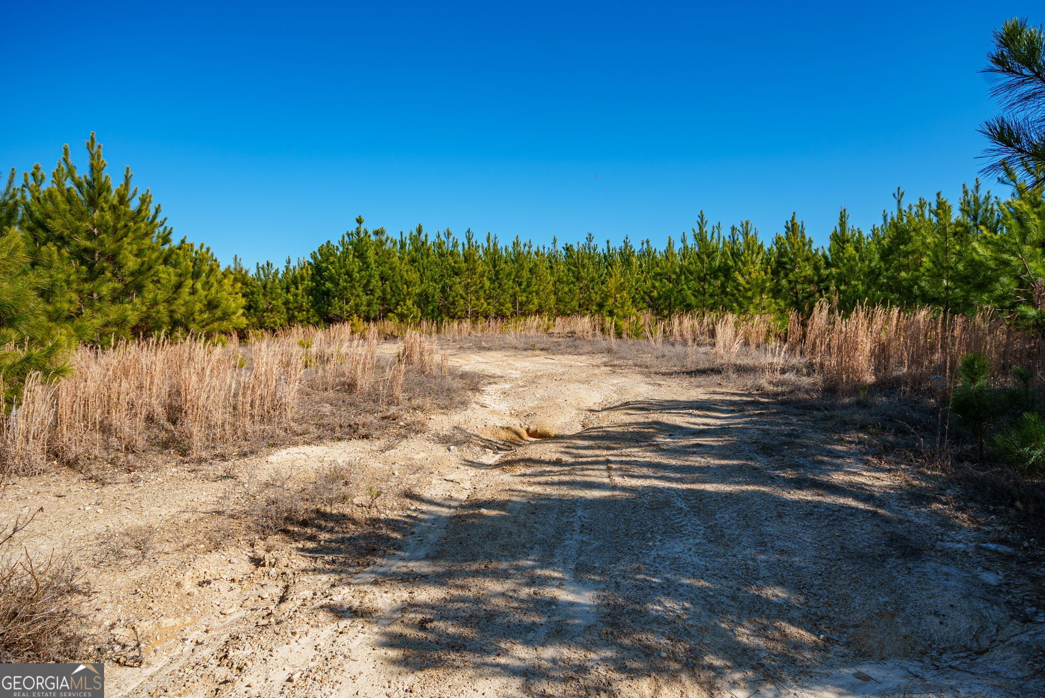 0 Warren Road White Plains, GA 30678 - Photo 28 of 37 a view of a lake view