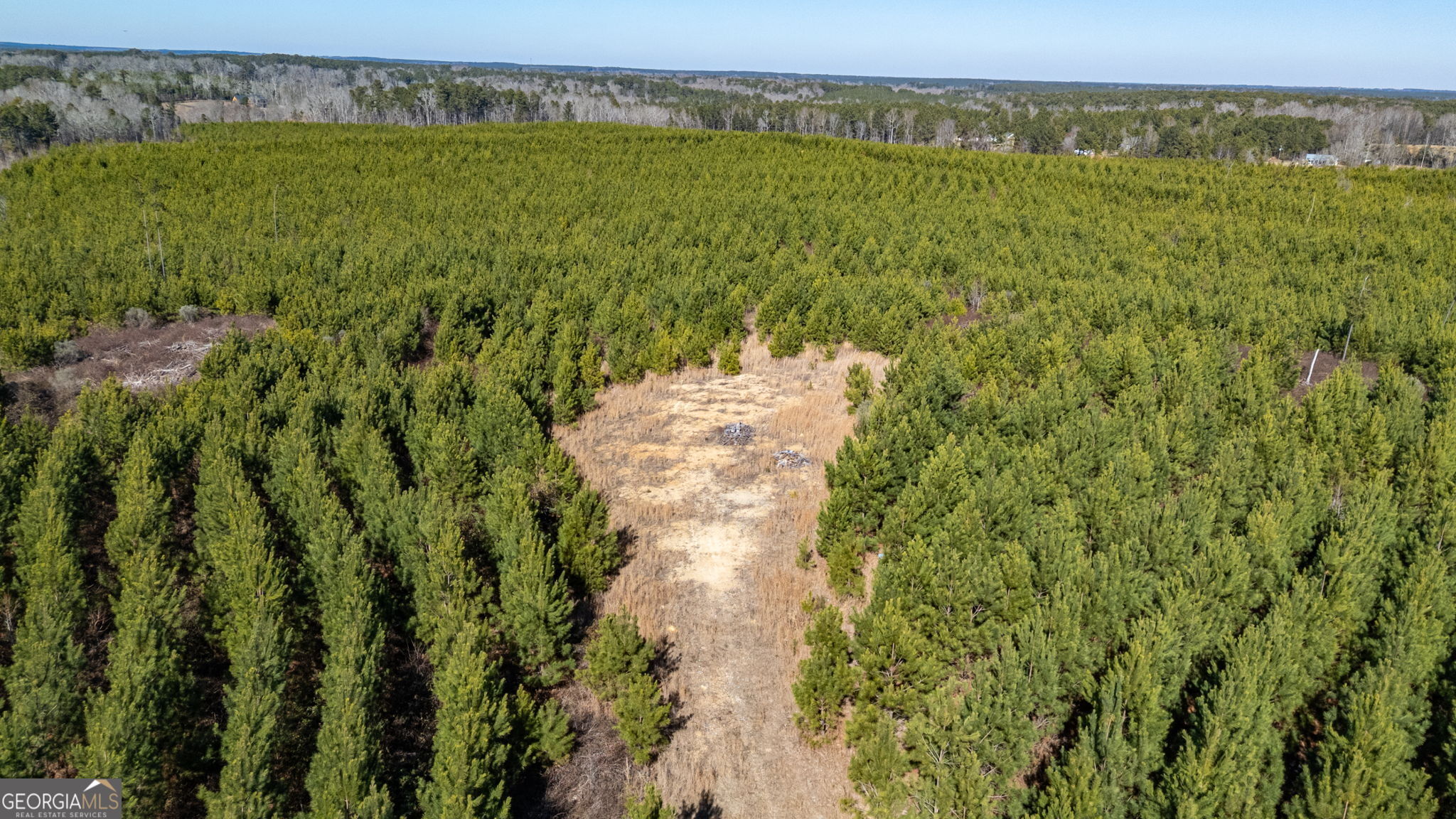 0 Warren Road White Plains, GA 30678 - Photo 29 of 37 a view of a pathway with a garden