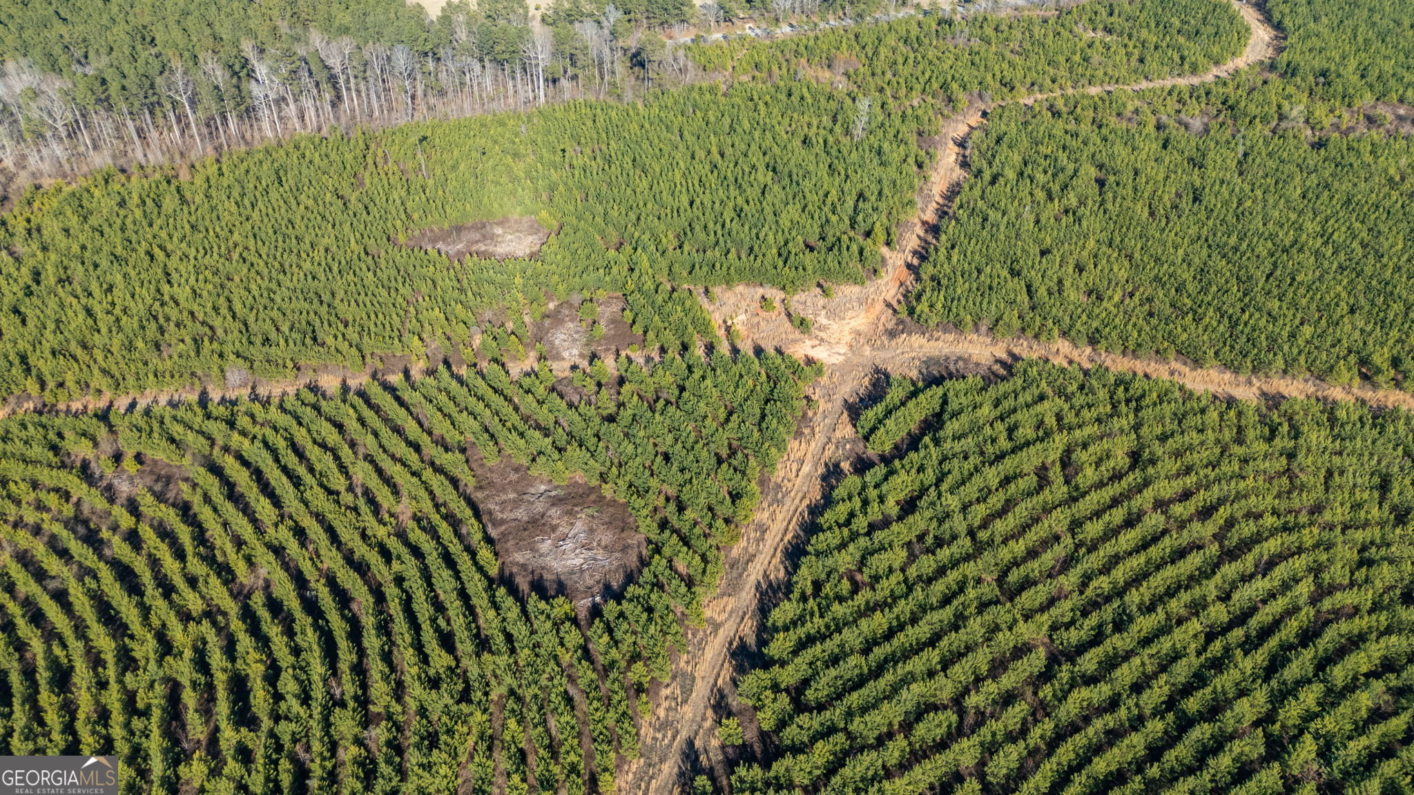 0 Warren Road White Plains, GA 30678 - Photo 3 of 37 a view of a garden