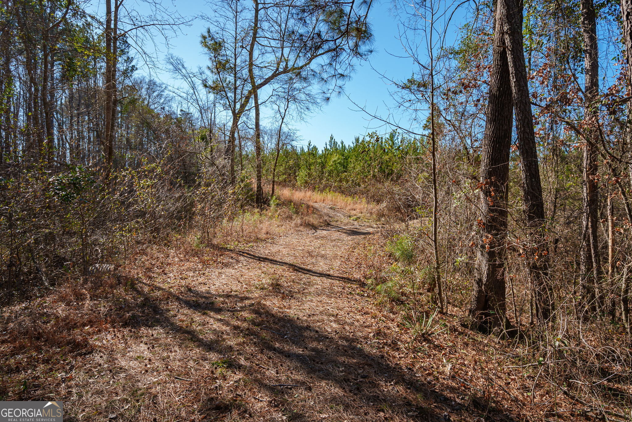 0 Warren Road White Plains, GA 30678 - Photo 6 of 37 a view of a yard with trees