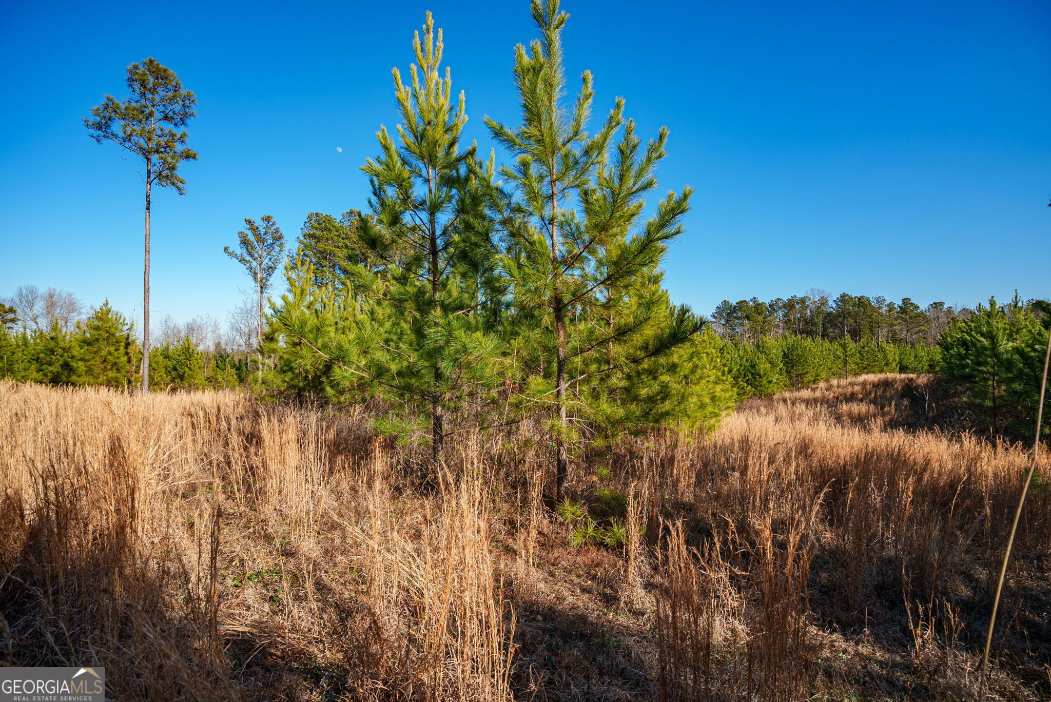 0 Warren Road White Plains, GA 30678 - Photo 8 of 37 a view of a lake with a house in background