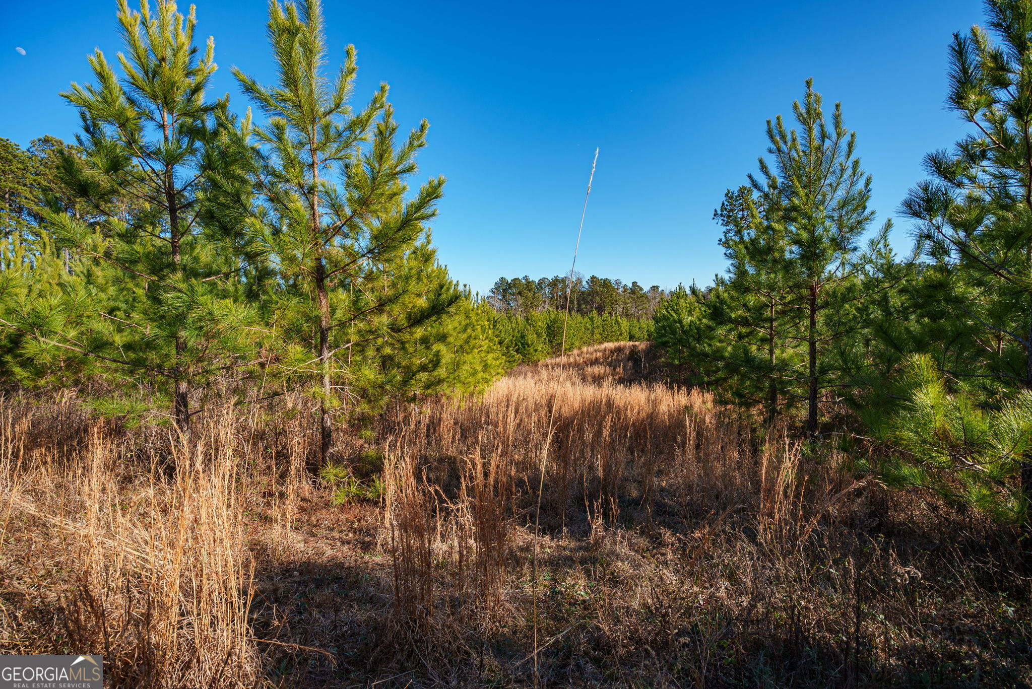 0 Warren Road White Plains, GA 30678 - Photo 9 of 37 a view of a lake with a tree