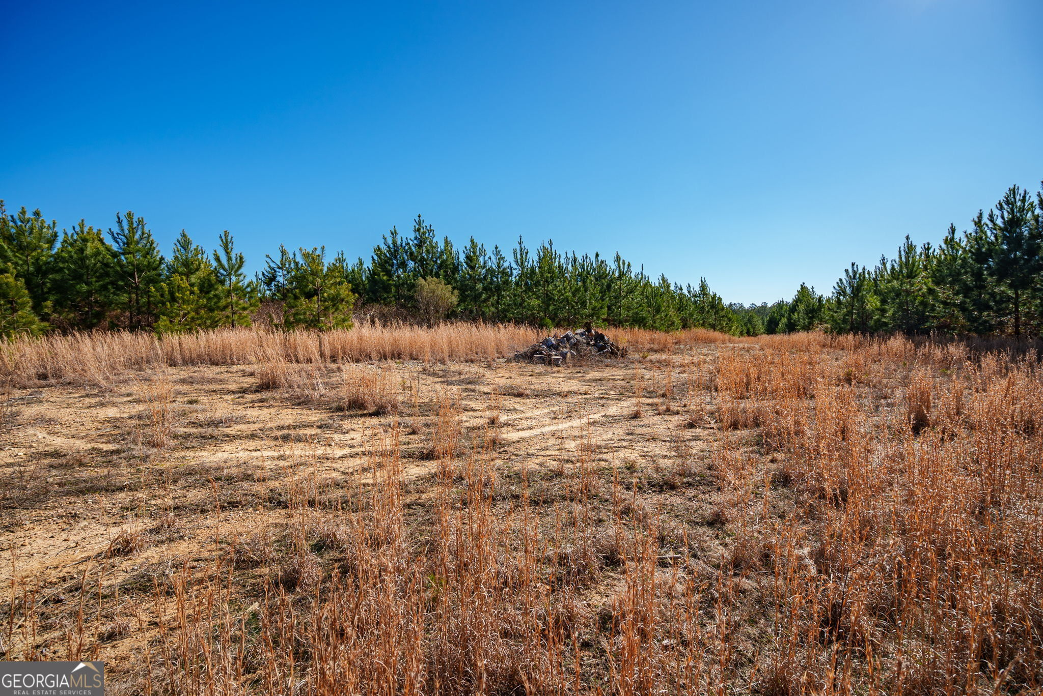 0 Warren Road White Plains, GA 30678 - Photo 10 of 37