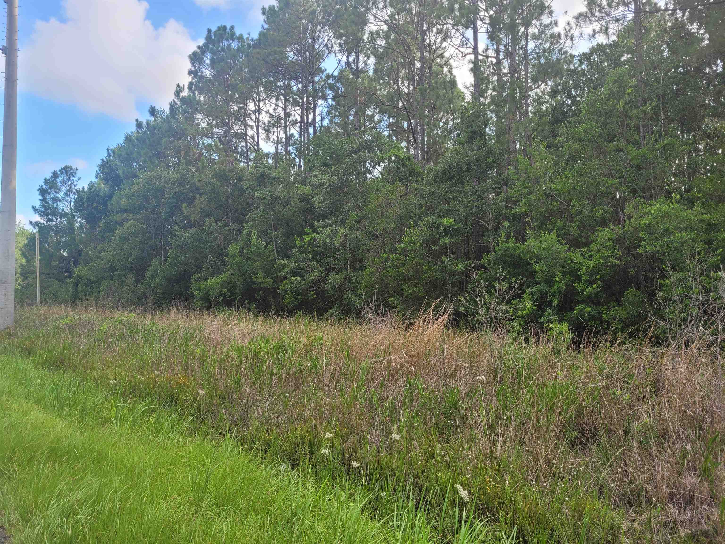 11675 Mary Ann Bch Road Fairhope, AL 36532 - Photo 5 of 8