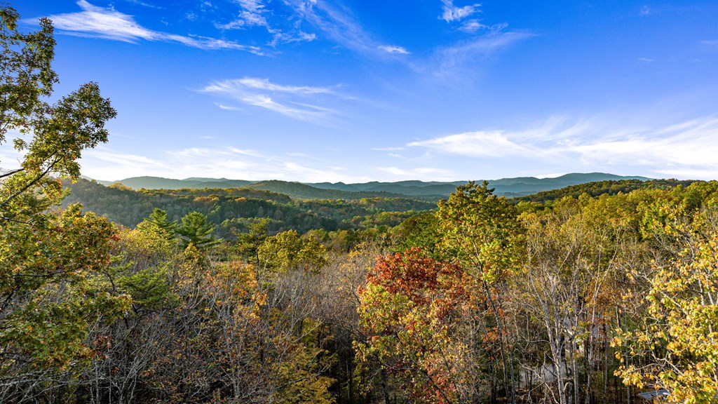 307 Cohutta Overlook Drive Blue Ridge, GA 30513 - Photo 54 of 61 Gallery Image 54