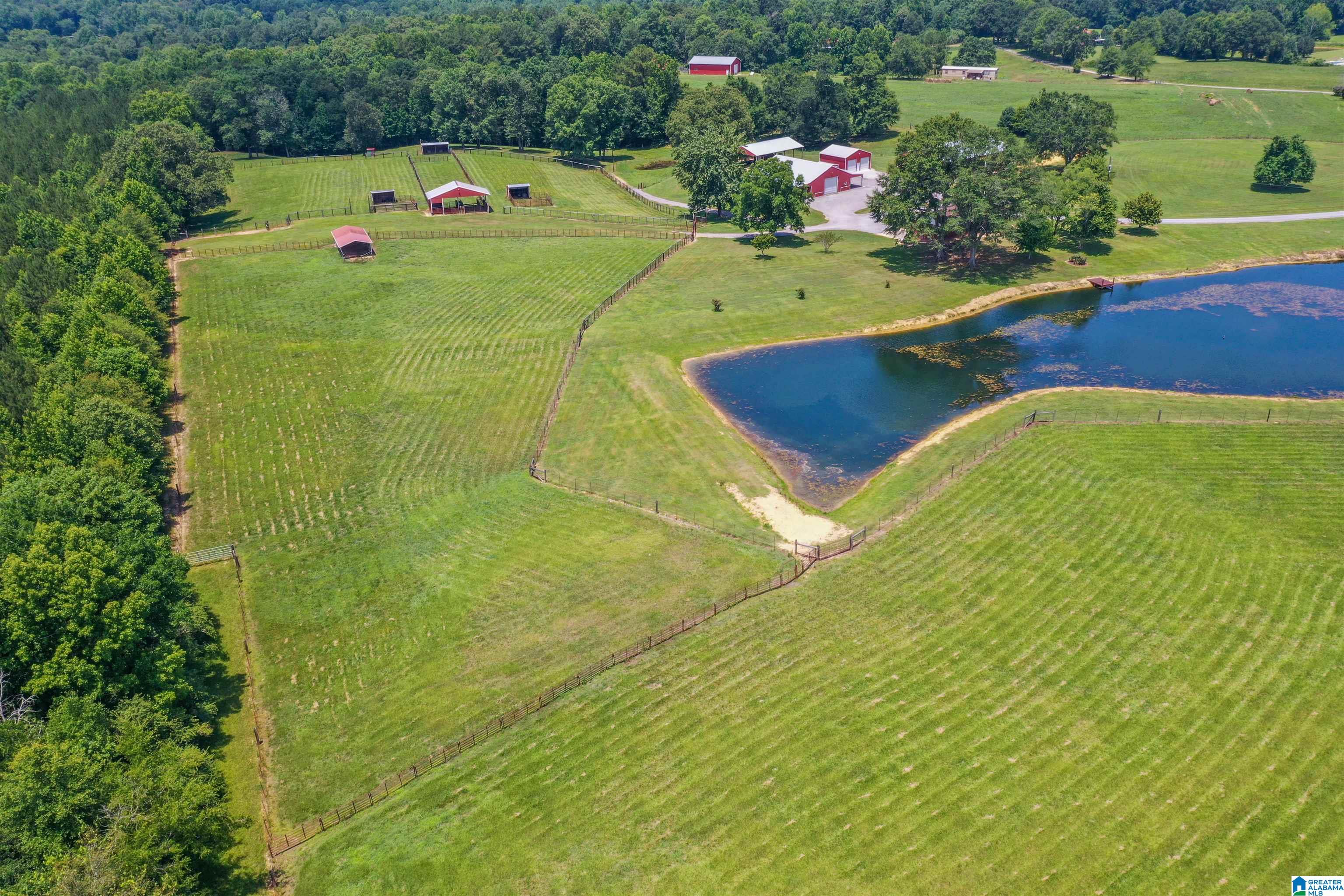 650 County Highway 13 Cleveland, AL 35049 - Photo 40 of 41