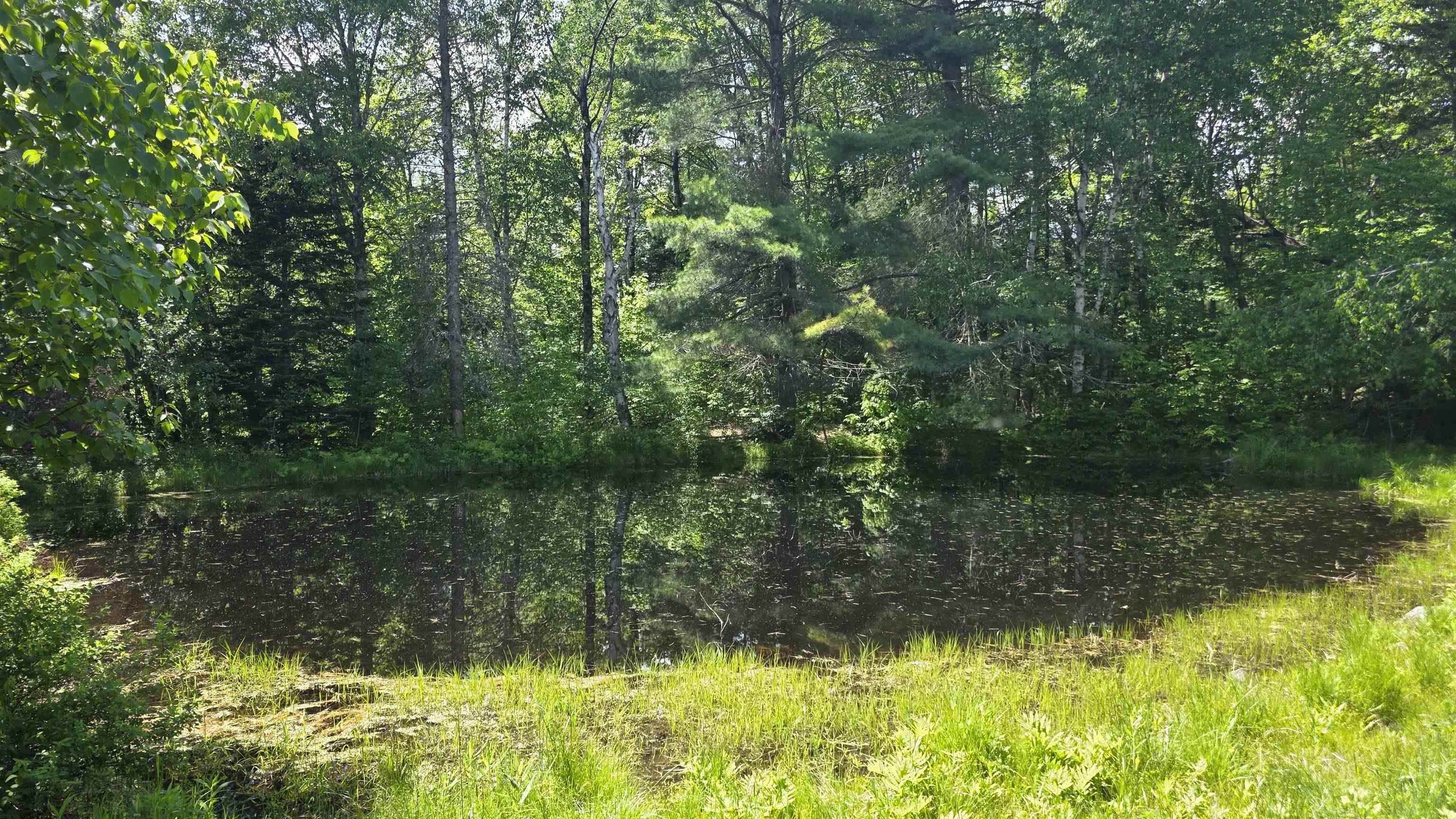 91 Venheim Road, Unit 1 Lunenburg, VT 05906 - Photo 9 of 55