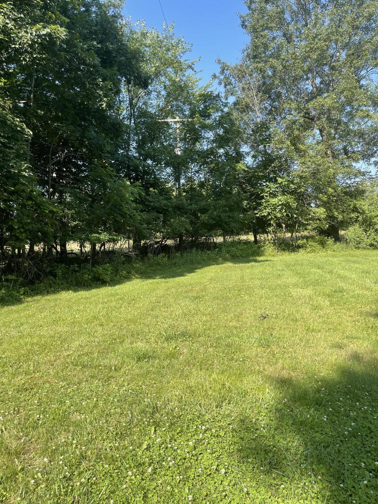 7195 Nickleplate Road, Unit 7237 Muir, MI 48860 - Photo 6 of 7 IMG_7088