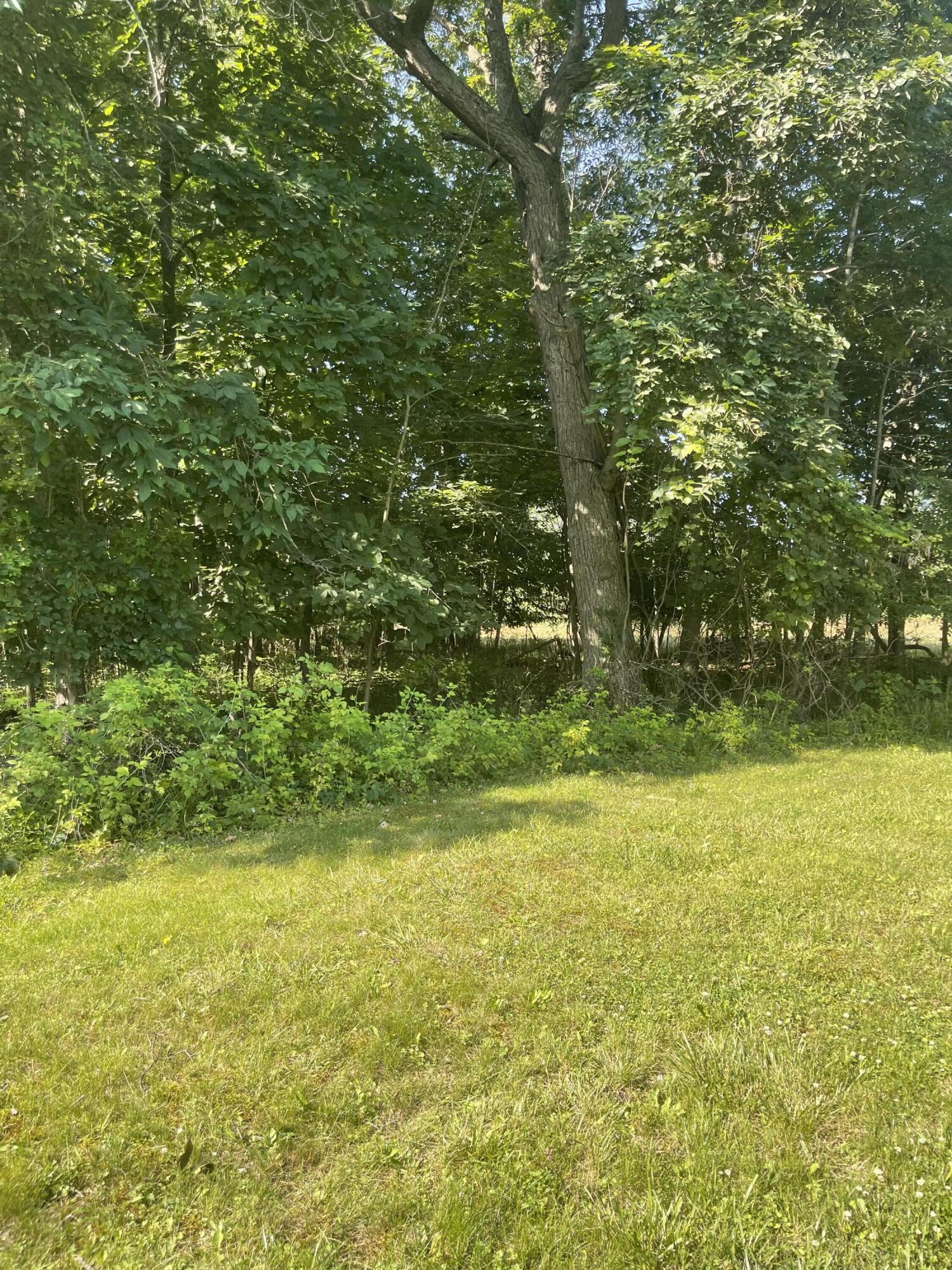 7195 Nickleplate Road, Unit 7237 Muir, MI 48860 - Photo 7 of 7 IMG_7087