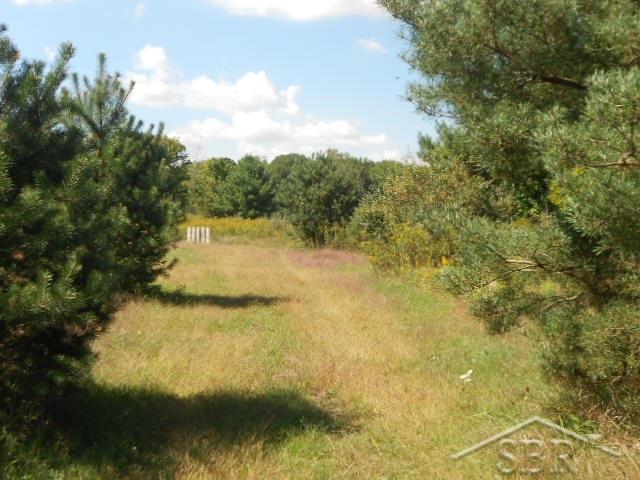 7606 South Fordney Road St. Charles, MI 48655 - Photo 34 of 41
