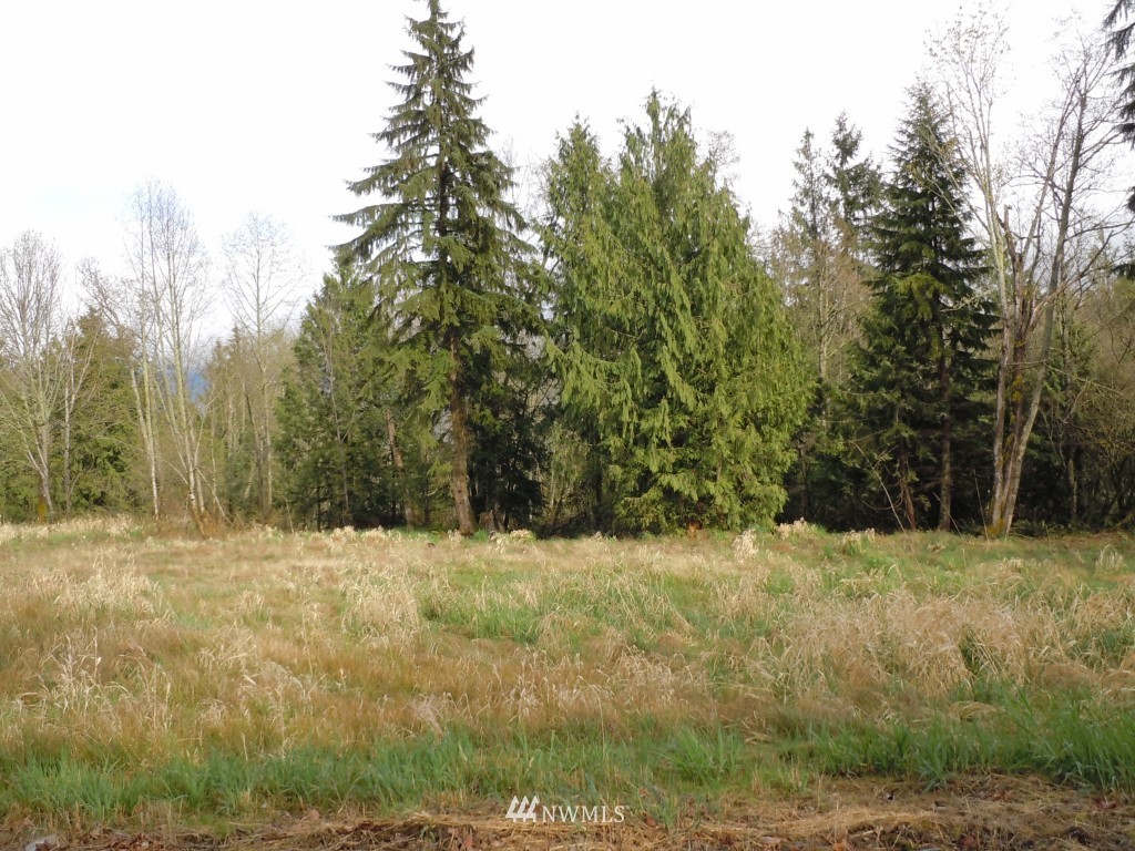 3 Burlingame Road Mount Vernon, WA 98274 - Photo 1 of 2 Gallery Image 1