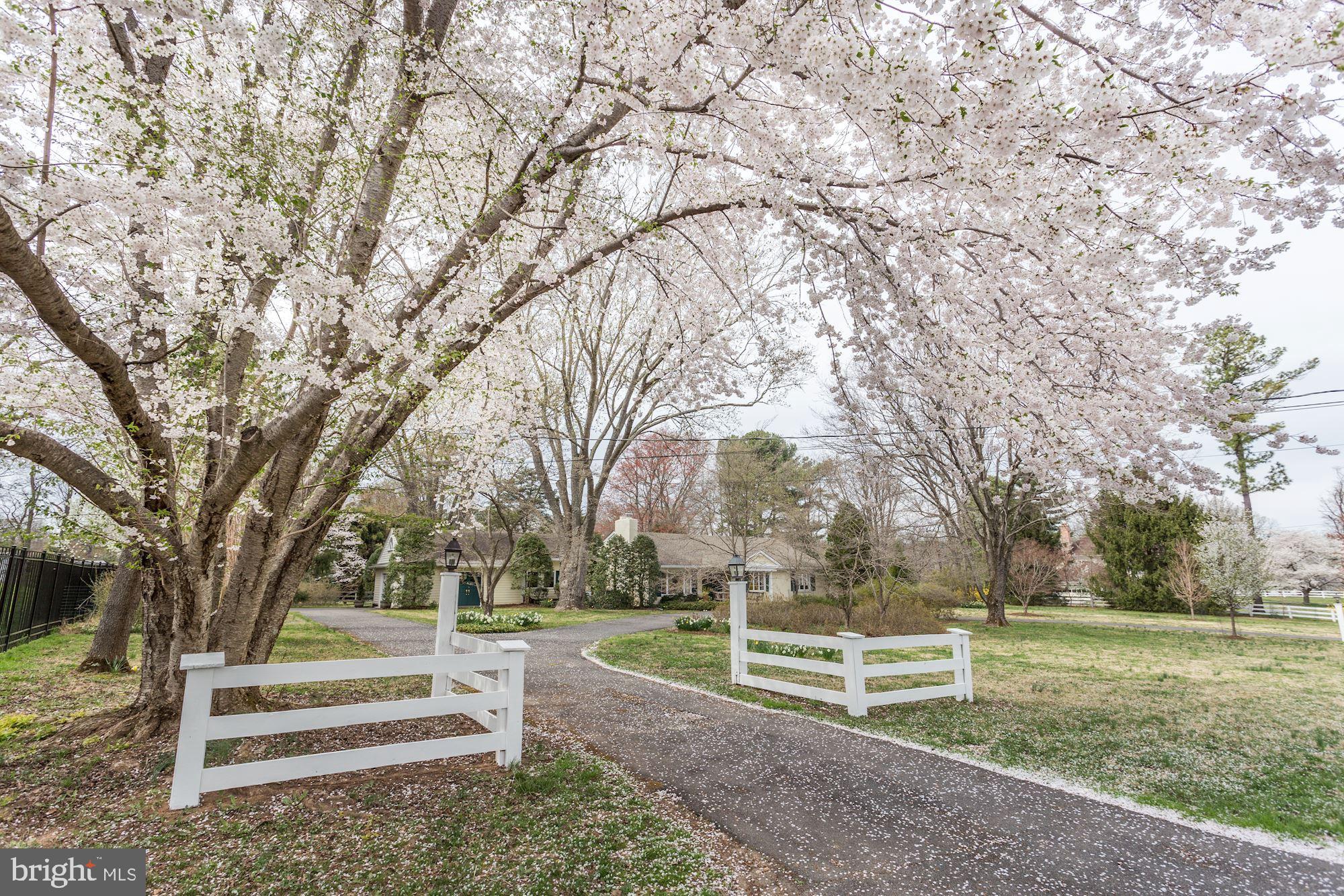 10820 Edison Road Potomac, MD 20854 - Photo 2 of 65 WELCOME TO THIS BEAUTIFULLY LANDSCAPED HOME