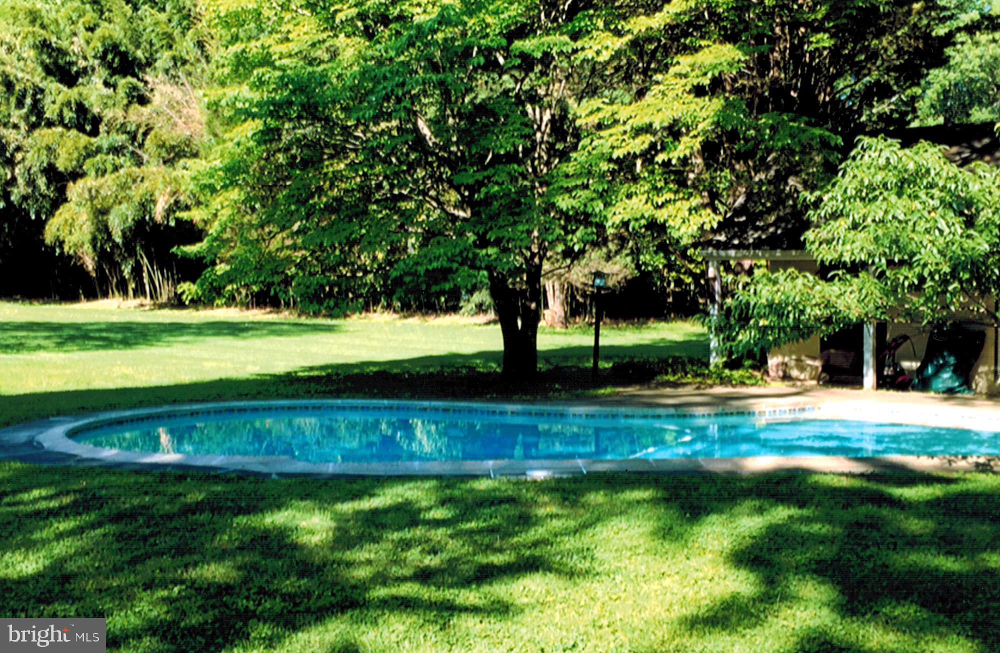 10820 Edison Road Potomac, MD 20854 - Photo 57 of 65 IN-GROUND KIDNEY SHAPED SWIMMING POOL
