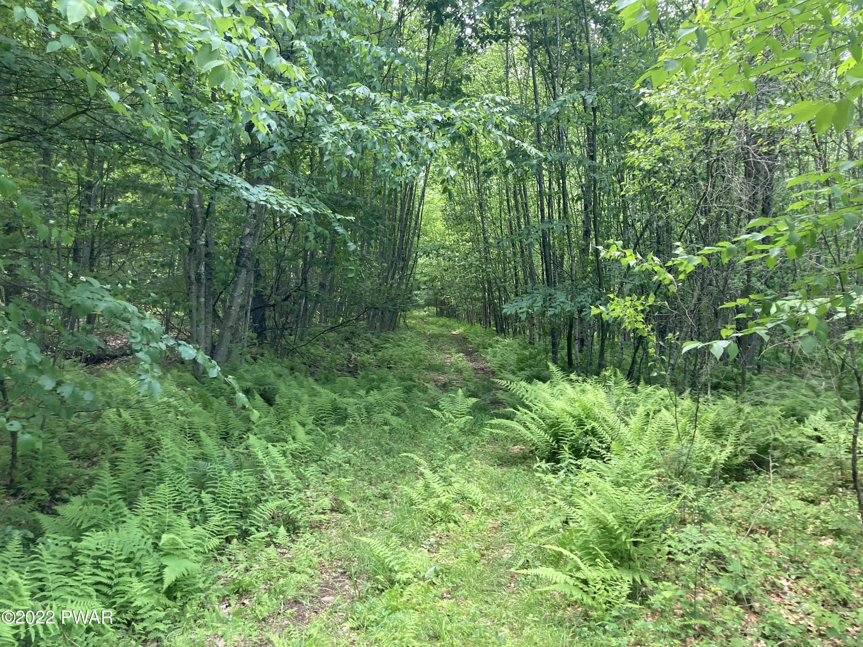 841 B Callicoon Road Damascus, PA 18415 - Photo 29 of 38 Trails