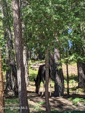 $1,513,003 | 483 Paradise Road, Pinehurst, ID 83850