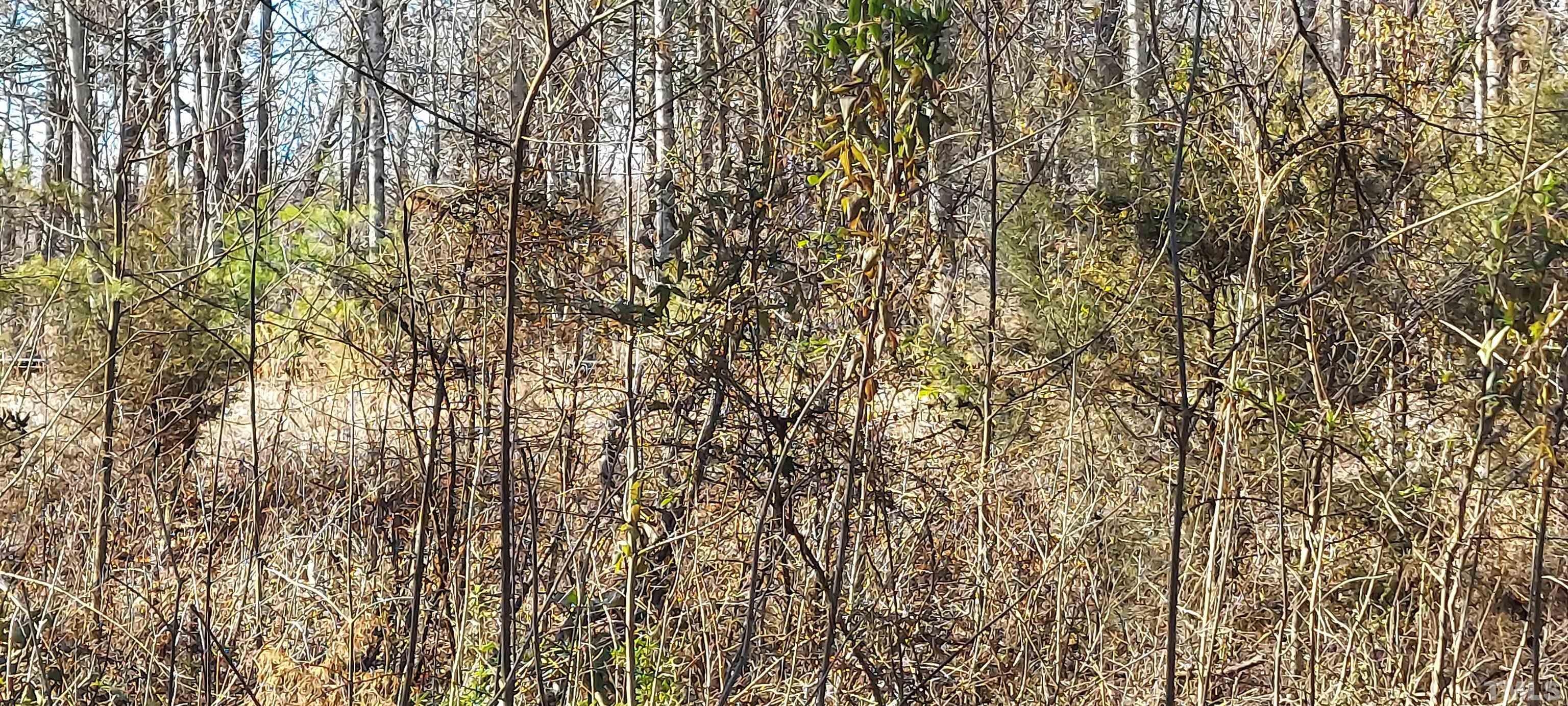 5000 Stoney Point Road Walkertown, NC 27051 - Photo 3 of 5 Gallery Image 3