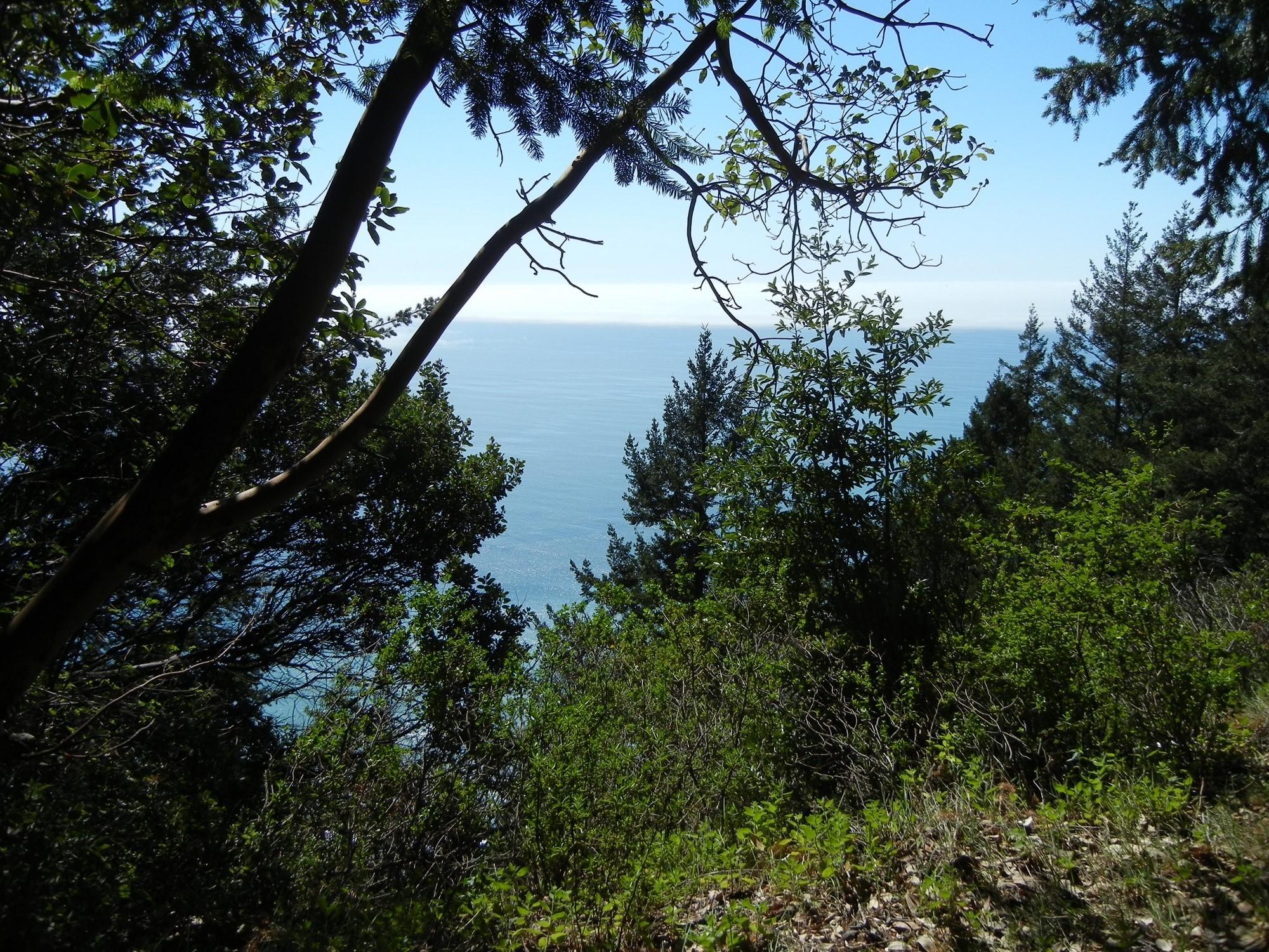 10 Gale Point Whitethorn, CA 95589 - Photo 4 of 20 Blue Water View