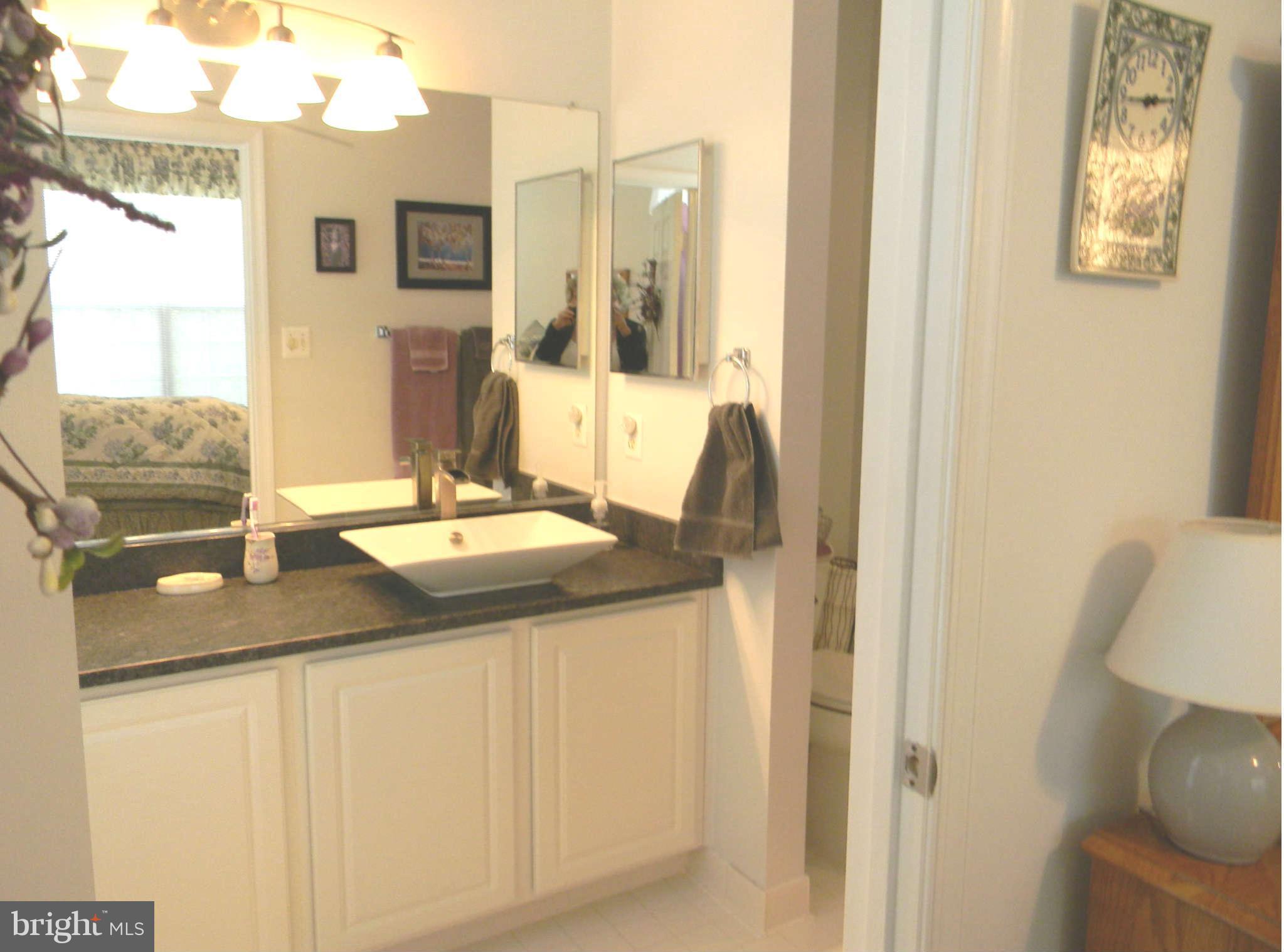 11406 Windleaf Court, Unit 5 Reston, VA 20194 - Photo 8 of 14 Bath (Master)