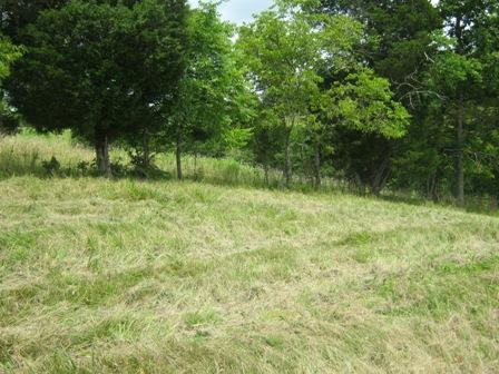 1354 Birdie Road Lawrenceburg, KY 40342 - Photo 33 of 55 Photo 33