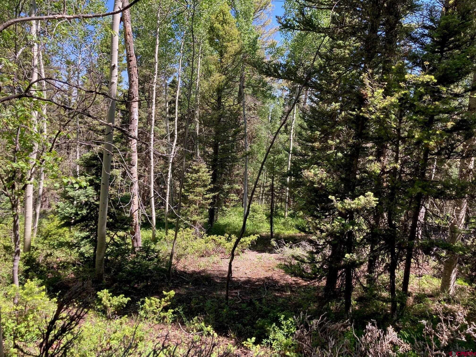 147 Ridge Road Cimarron, CO 81220 - Photo 11 of 36 a view of a yard