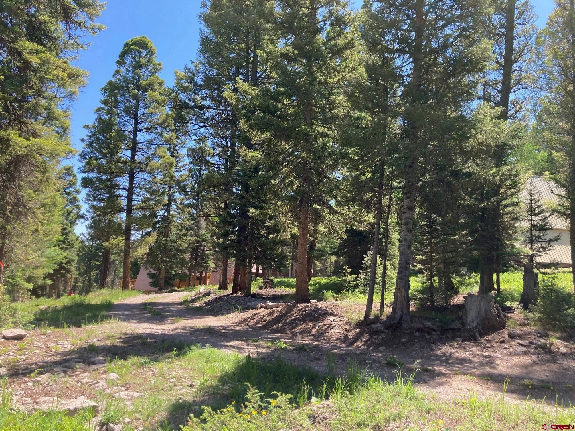147 Ridge Road Cimarron, CO 81220 - Photo 15 of 36 a backyard of a house with lots of green space