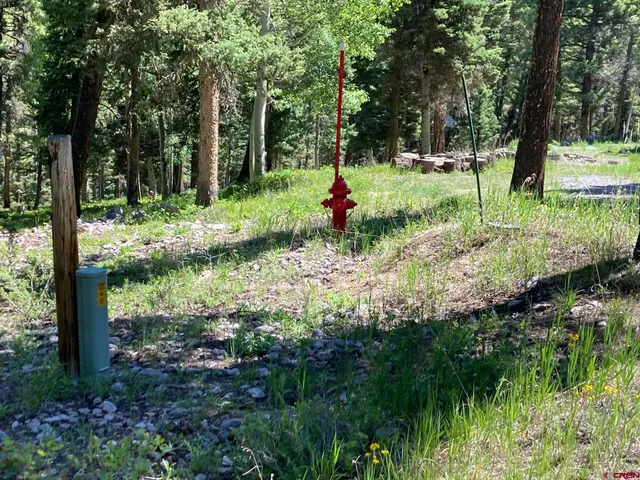 a view of outdoor space with trees all around