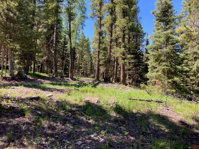 a view of a tree in the middle of a yard