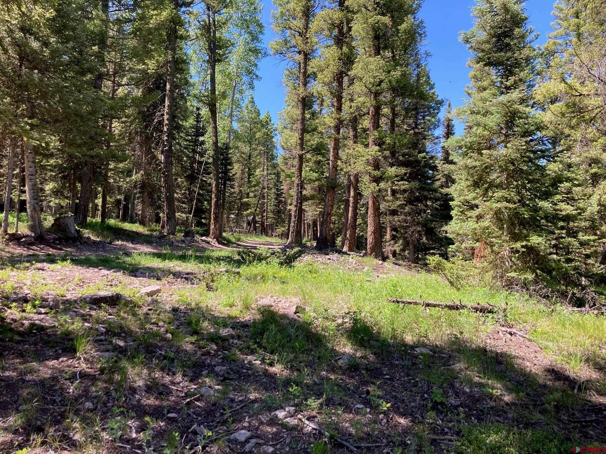 147 Ridge Road Cimarron, CO 81220 - Photo 17 of 36 a view of outdoor space with trees all around