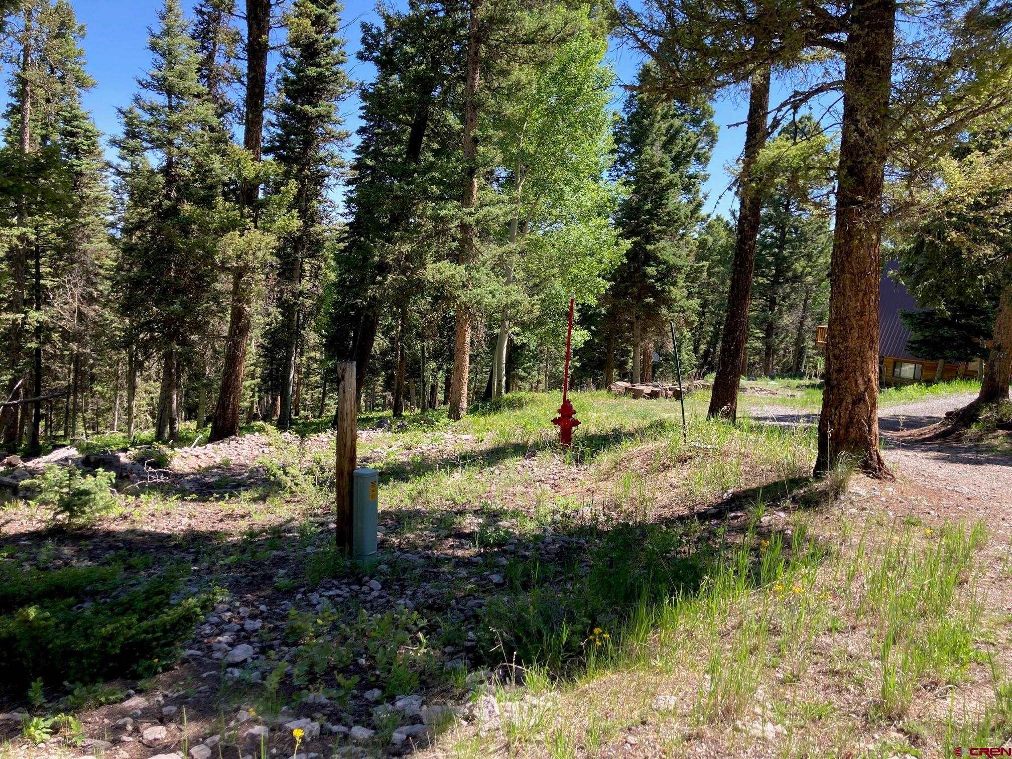 147 Ridge Road Cimarron, CO 81220 - Photo 18 of 36 a view of a tree in the middle of a yard