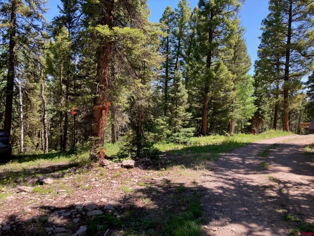 a view of backyard with green space