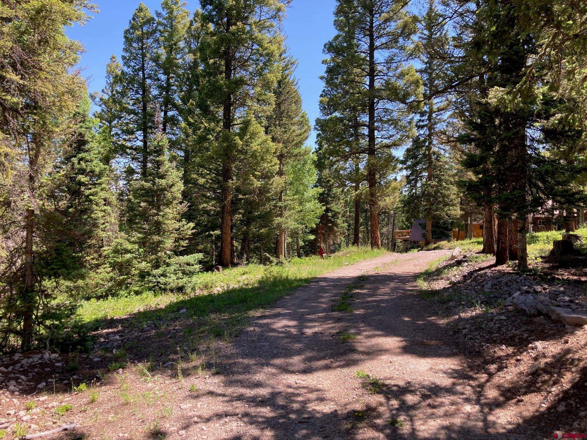 147 Ridge Road Cimarron, CO 81220 - Photo 20 of 36 a view of backyard with green space