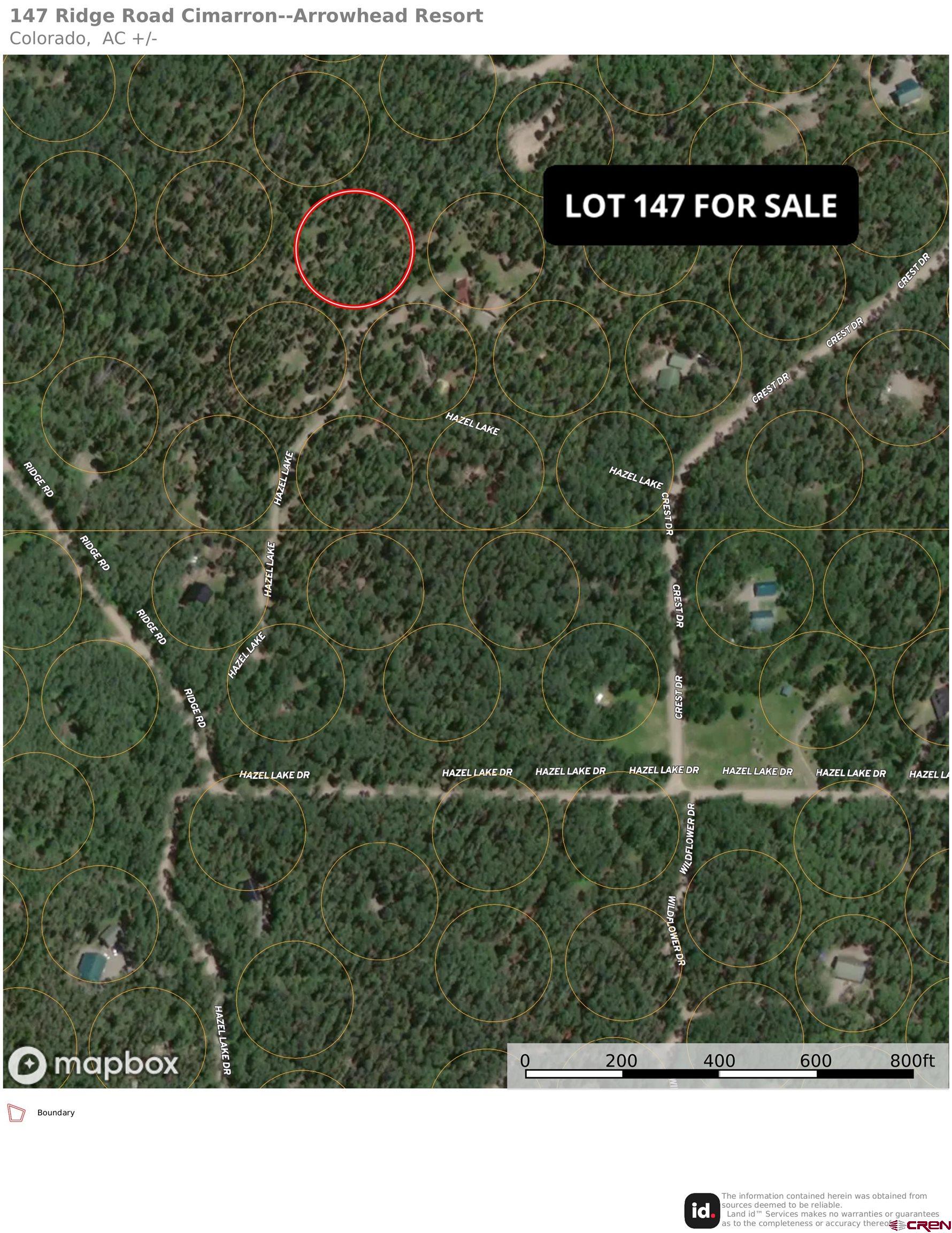 147 Ridge Road Cimarron, CO 81220 - Photo 2 of 36 a black and white photo of a tree