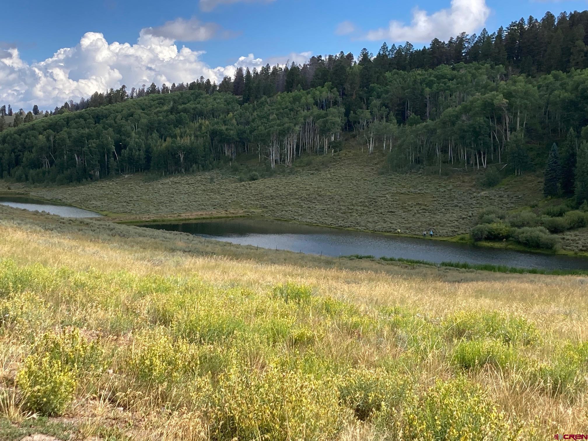 147 Ridge Road Cimarron, CO 81220 - Photo 34 of 36 a view of a lake with a yard