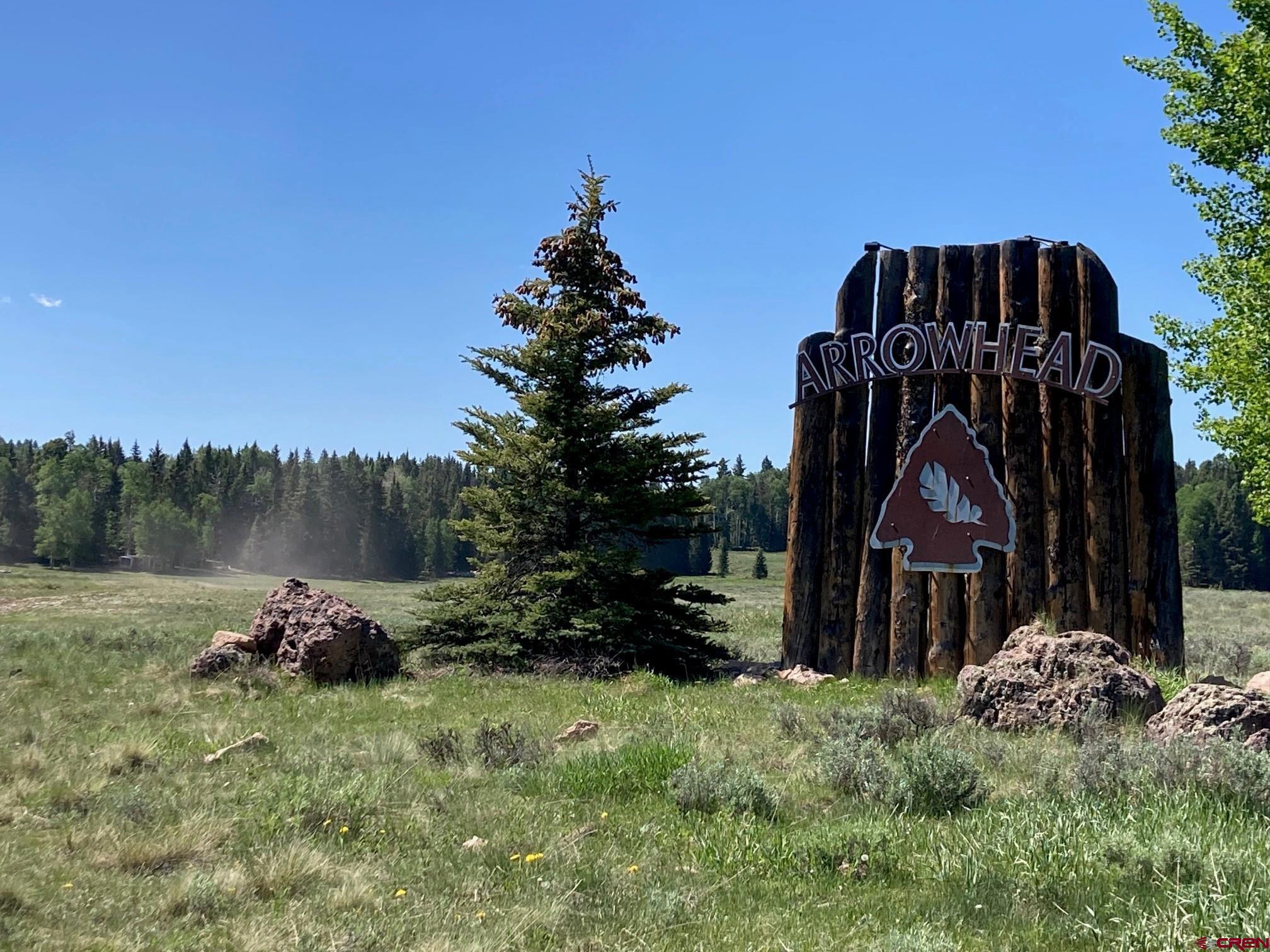 147 Ridge Road Cimarron, CO 81220 - Photo 4 of 36 a backyard of a house with lots of green space