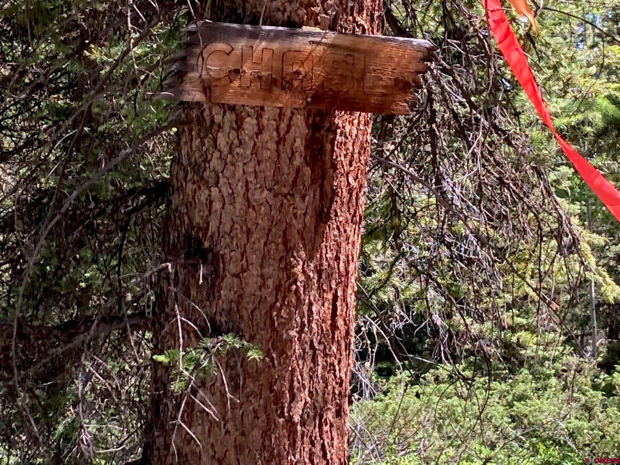 147 Ridge Road Cimarron, CO 81220 - Photo 7 of 36 a view of a tree in a yard