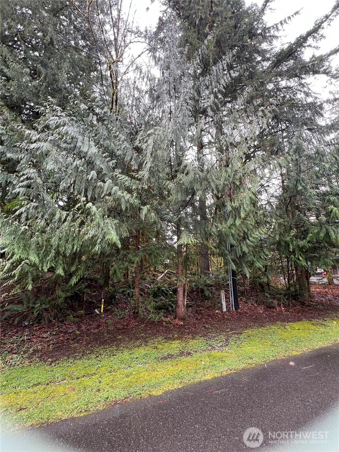 15026 Iceberg Road Glacier, WA 98244 - Photo 6 of 16 a view of a swimming pool with a patio