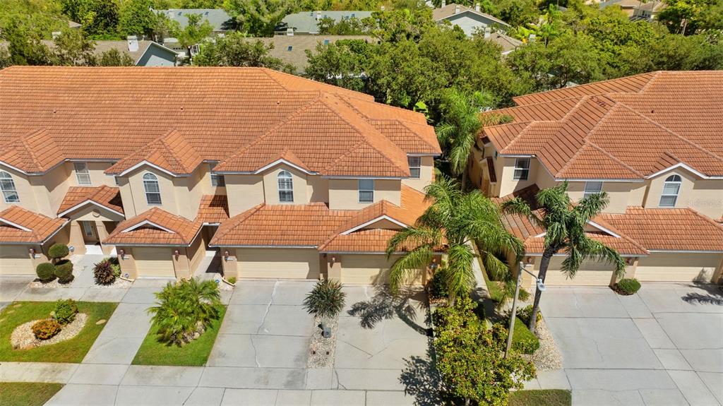 1437 Ridge Terrace Tarpon Springs, FL 34689 - Photo 37 of 42 Gallery Image 37