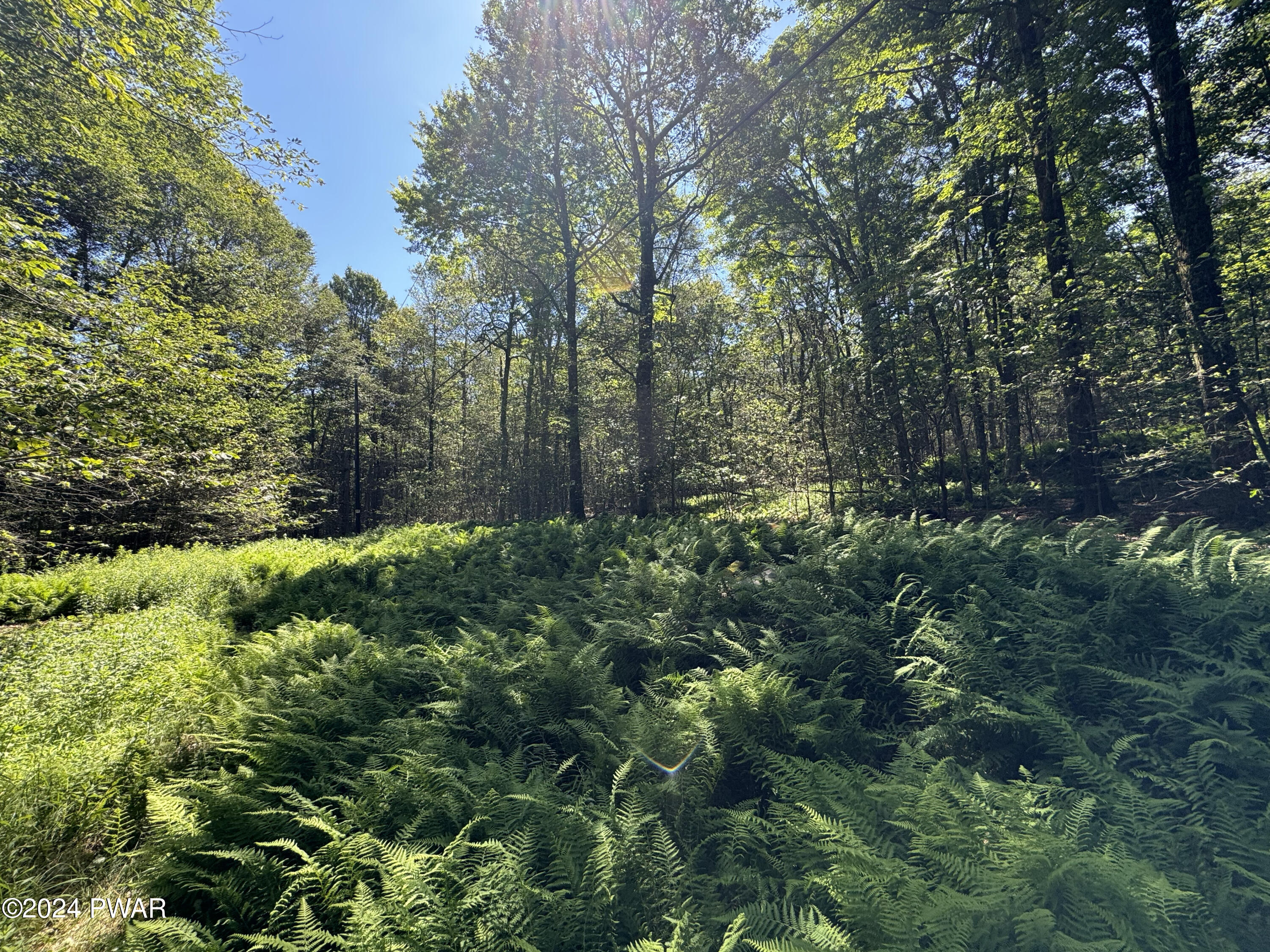Deesch Road Greentown, PA 18426 - Photo 2 of 5