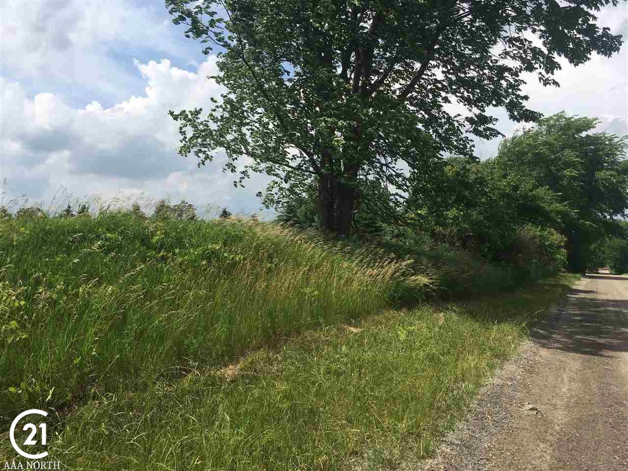 0 Kidder Road, Unit PARCEL 2 Romeo, MI 48065 - Photo 6 of 11