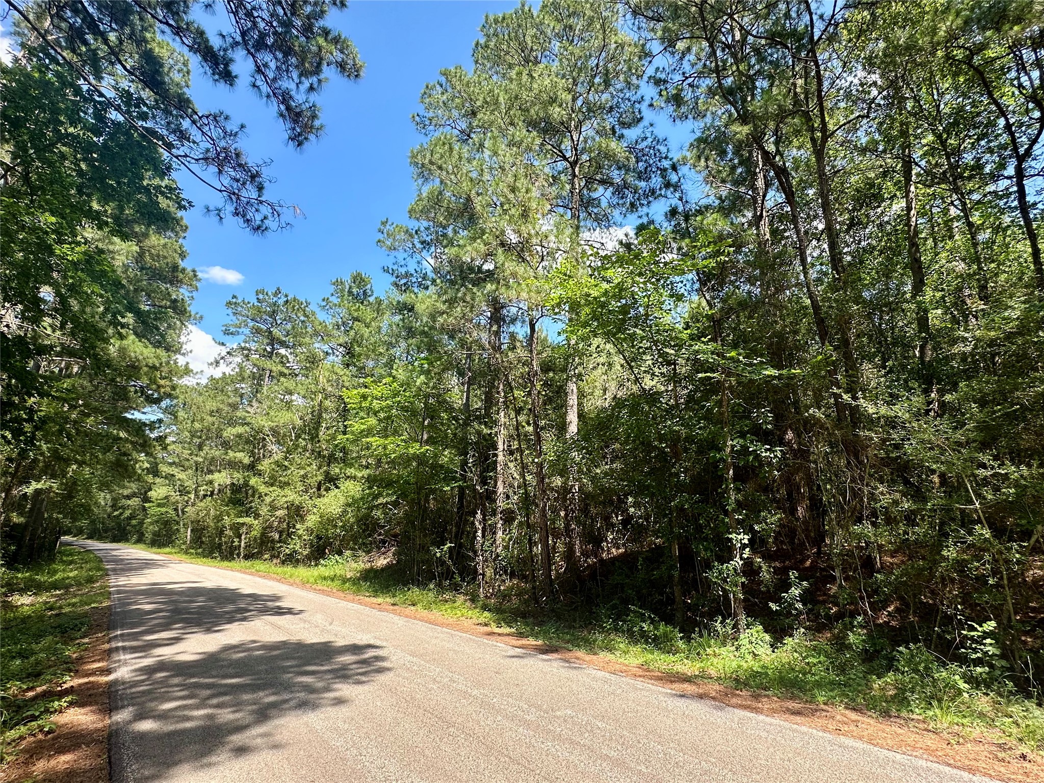 0 Taliaferro Road Richards, TX 77873 - Photo 3 of 5