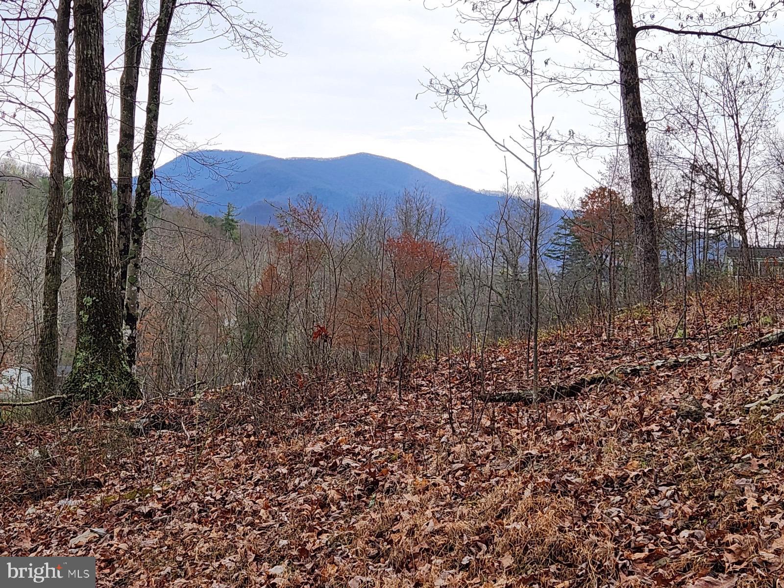 Hollow Run Road Luray, VA 22835 - Photo 1 of 9 Mountain Views from the homesite