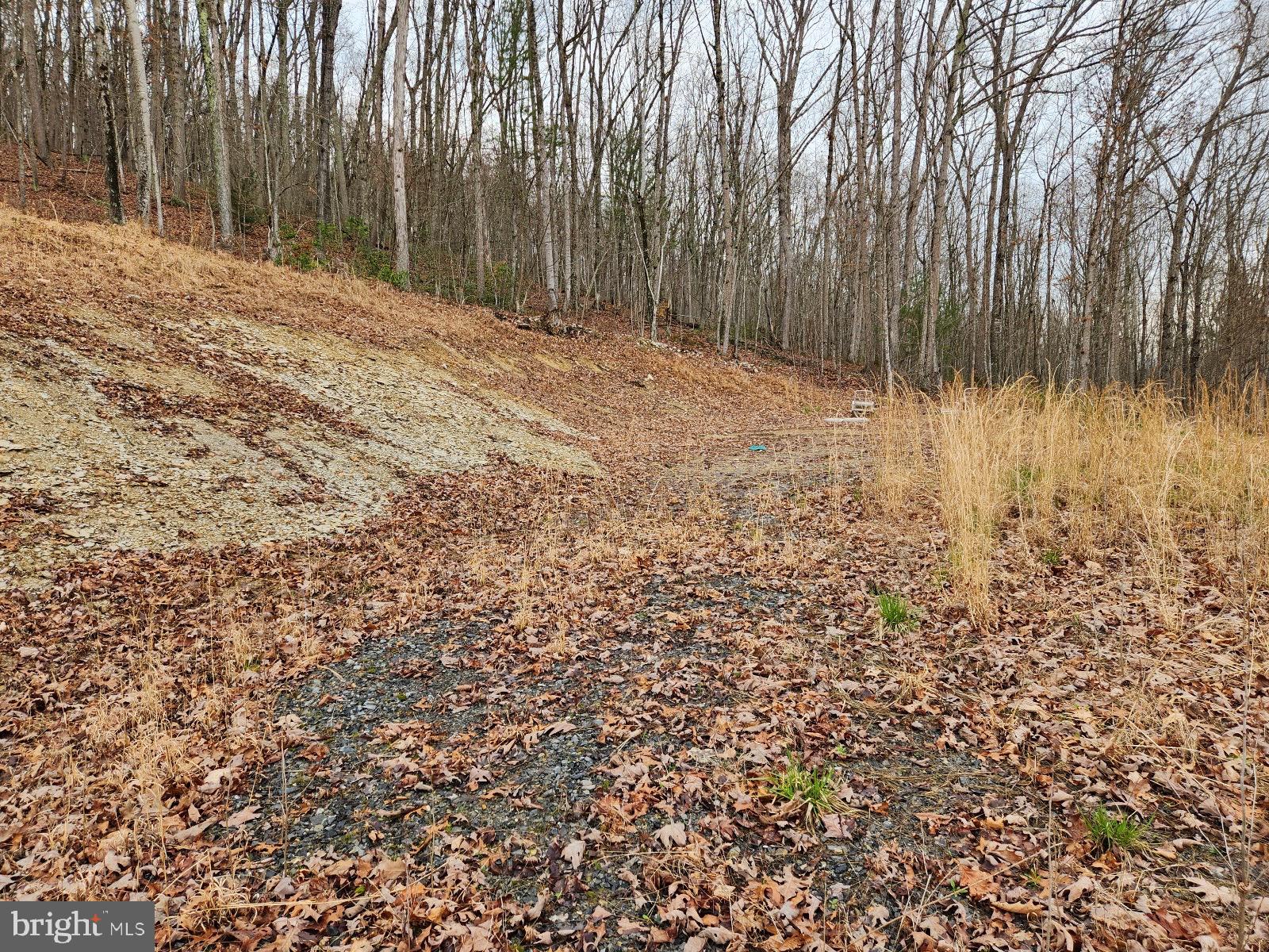Hollow Run Road Luray, VA 22835 - Photo 2 of 9 Cleared Homesite