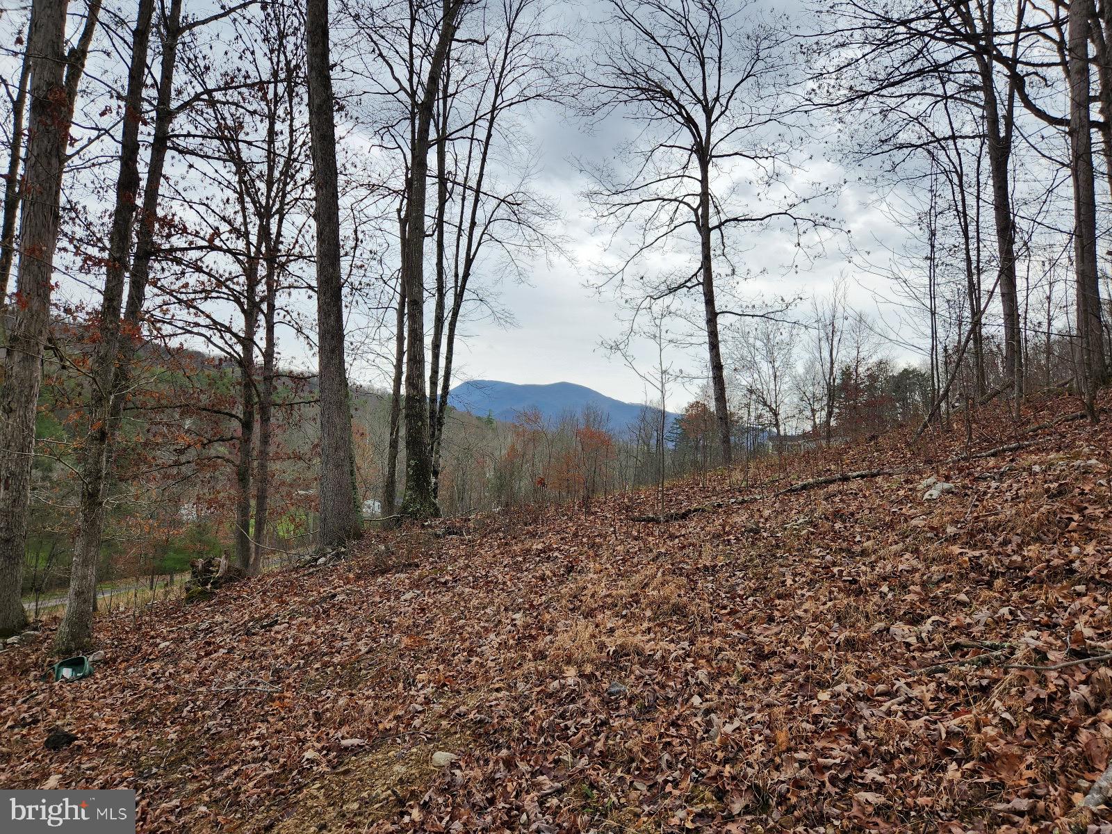 Hollow Run Road Luray, VA 22835 - Photo 3 of 9 View from homesite