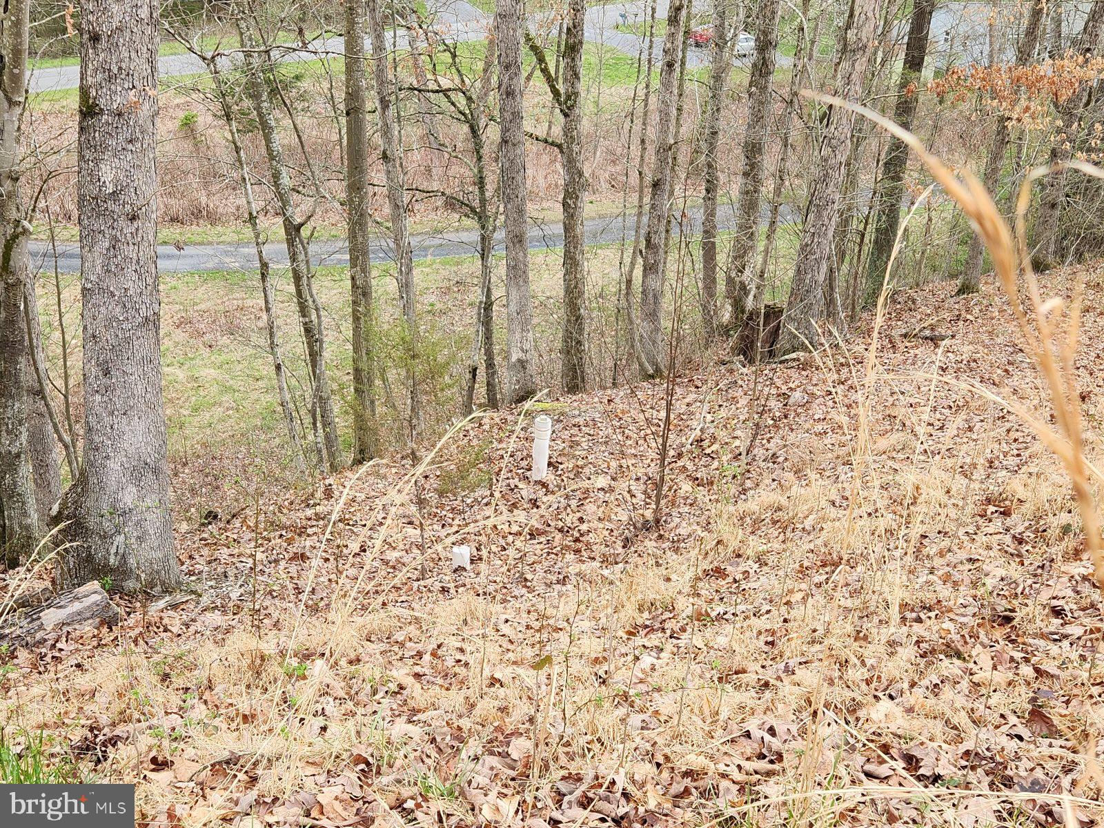 Hollow Run Road Luray, VA 22835 - Photo 5 of 9 Install Septic