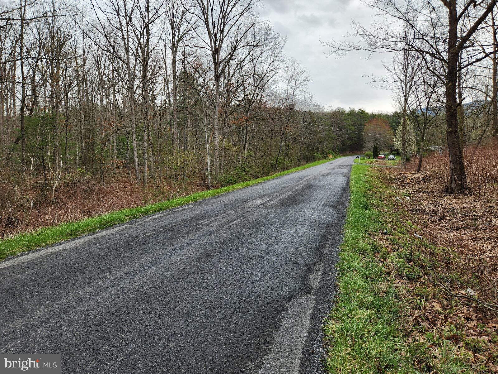 Hollow Run Road Luray, VA 22835 - Photo 8 of 9 Frontage on Hard Surfaced Road