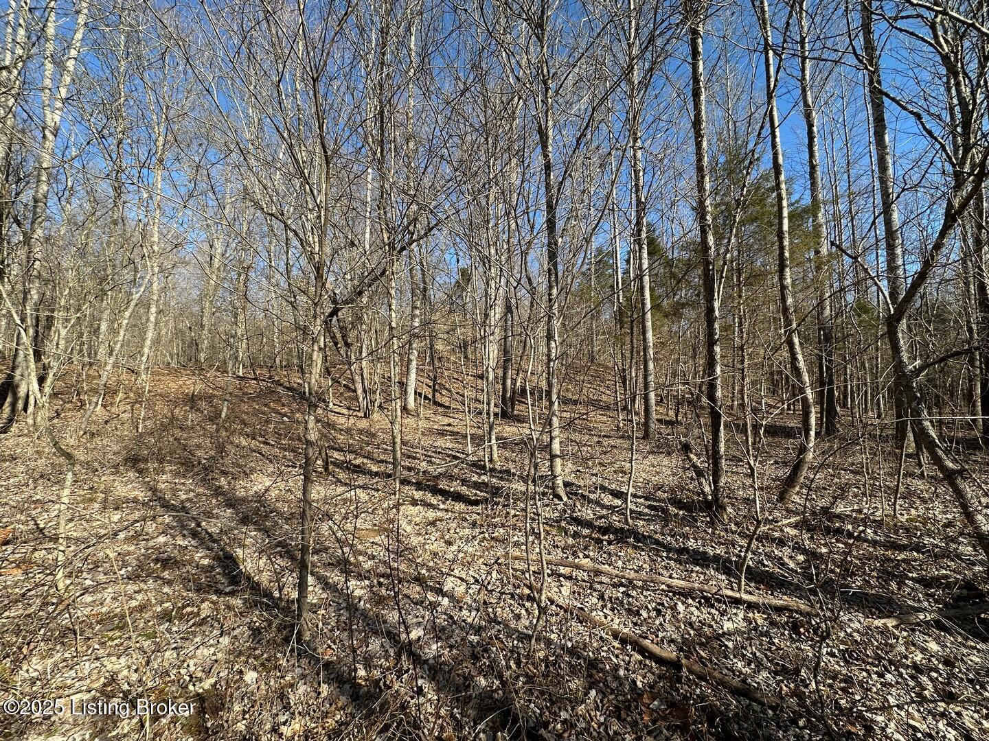 Lot 15 Duvall Road Caneyville, KY 42721 - Photo 7 of 8 Lot 15 - 16 Woods Pics4