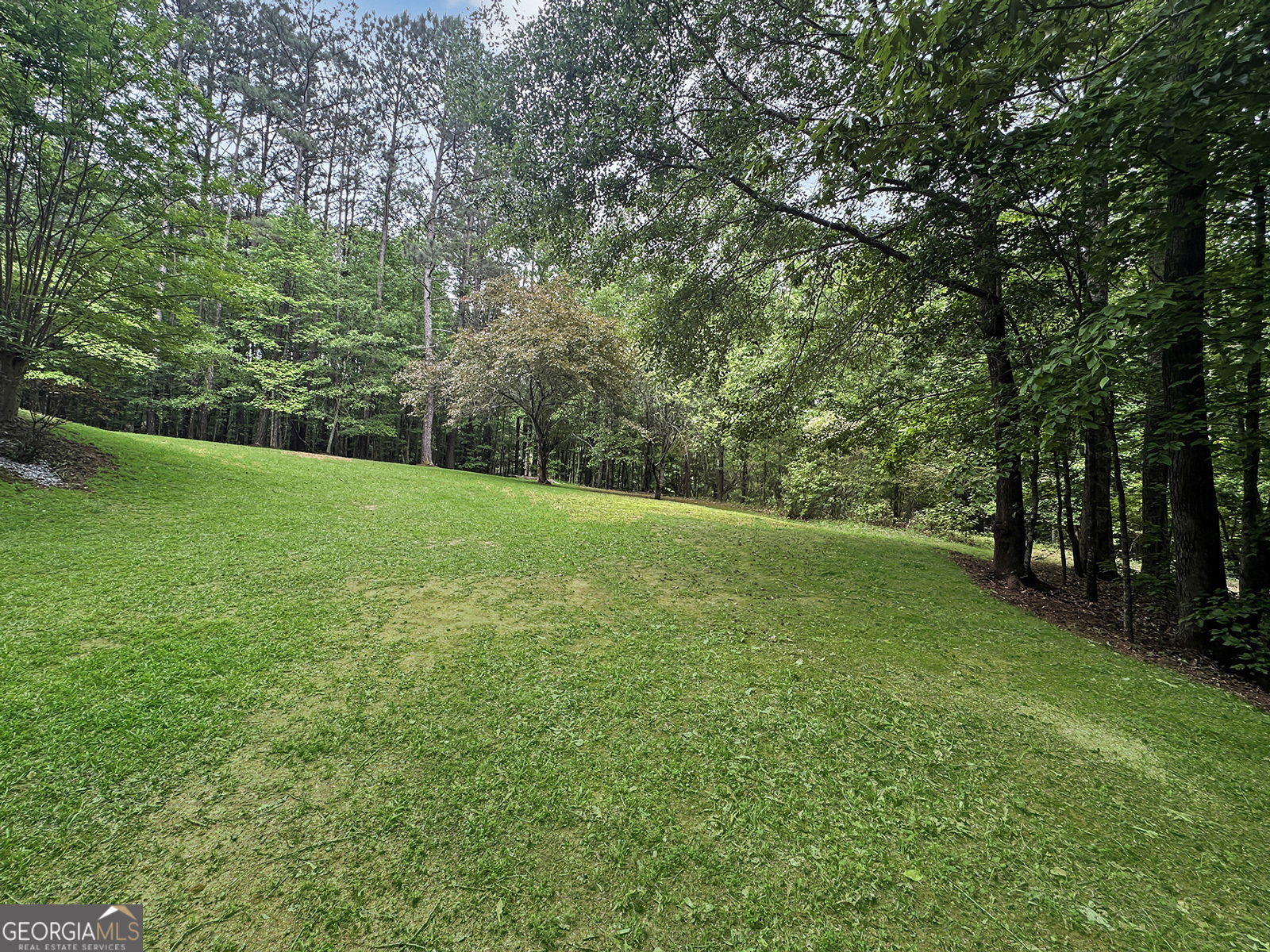 715 Frog Road Locust Grove, GA 30248 - Photo 53 of 56 a view of a field with trees in the background