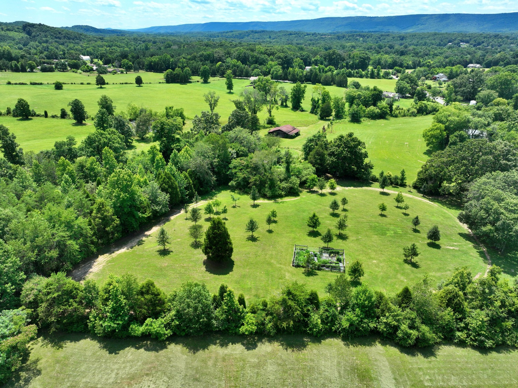 5858 Wolf Creek Road Spring City, TN 37381 - Photo 63 of 76